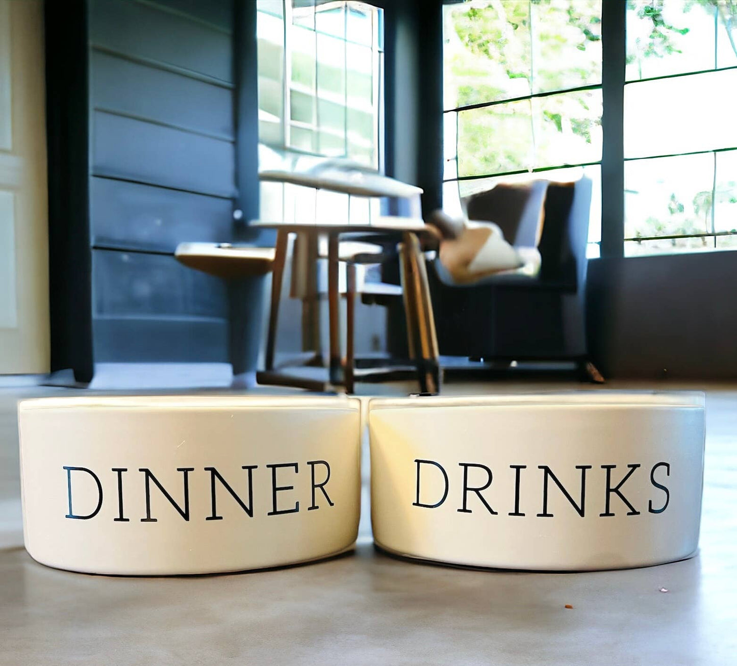 Dinner and Drinks Dog Bowls