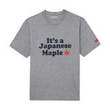 Boast USA T-shirt Gray