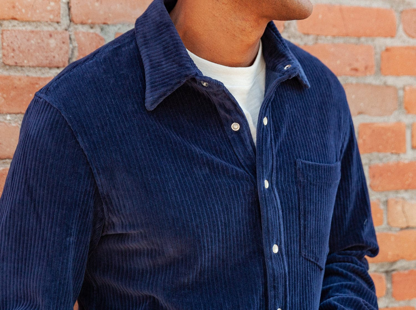 Criquet Velour Rib Knit Button Down