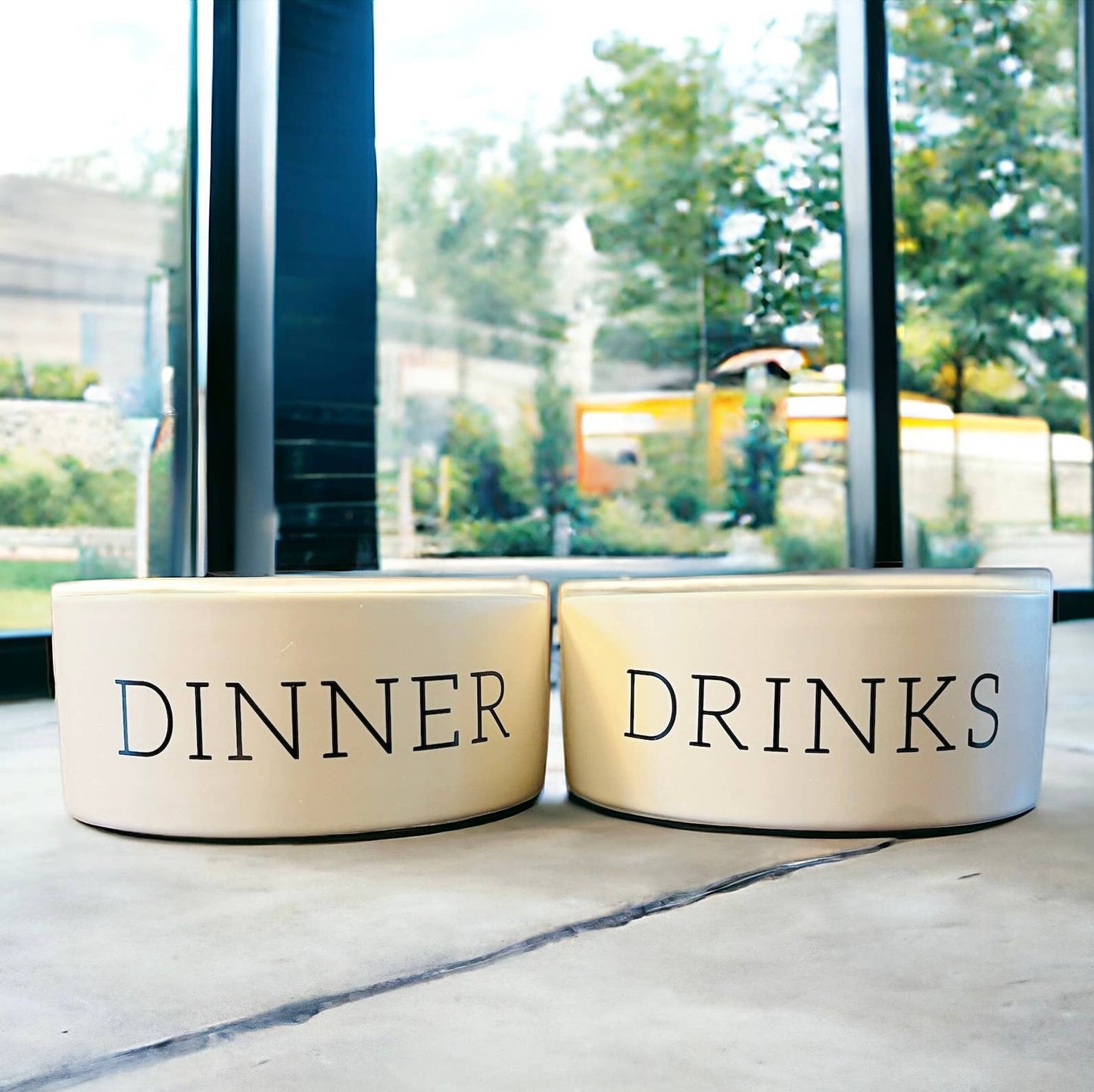 Dinner and Drinks Dog Bowls