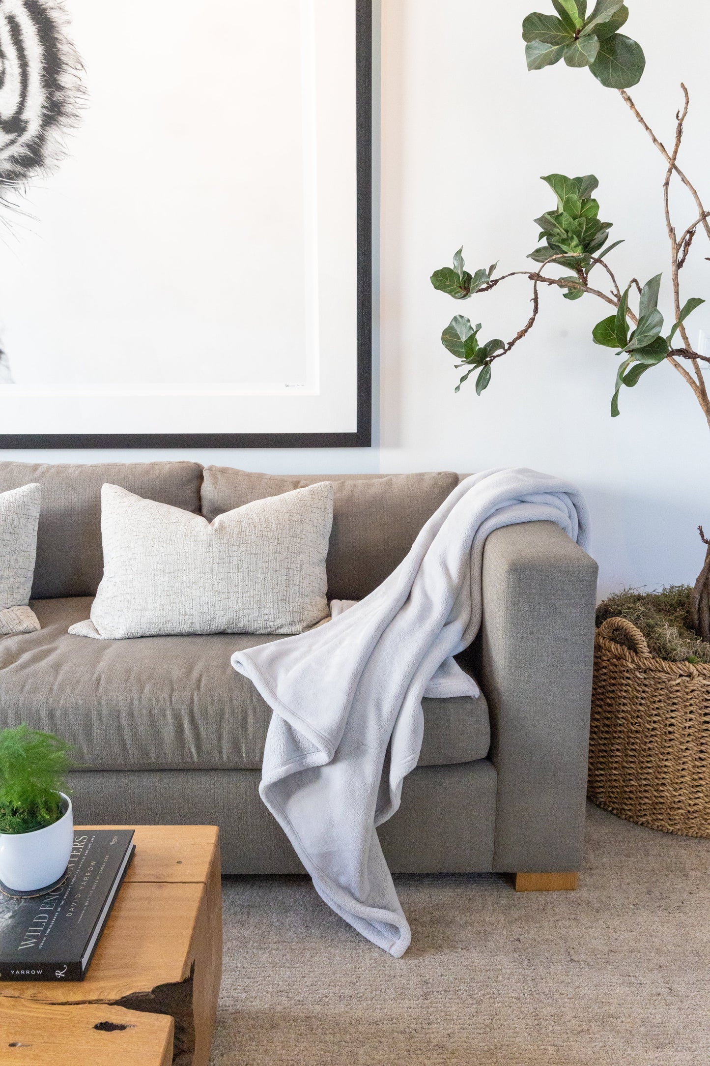 Cloud Whisper Gray 60 x 70 Throw Blanket